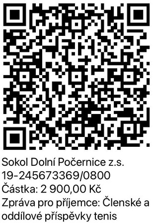 Příspěvky 2025